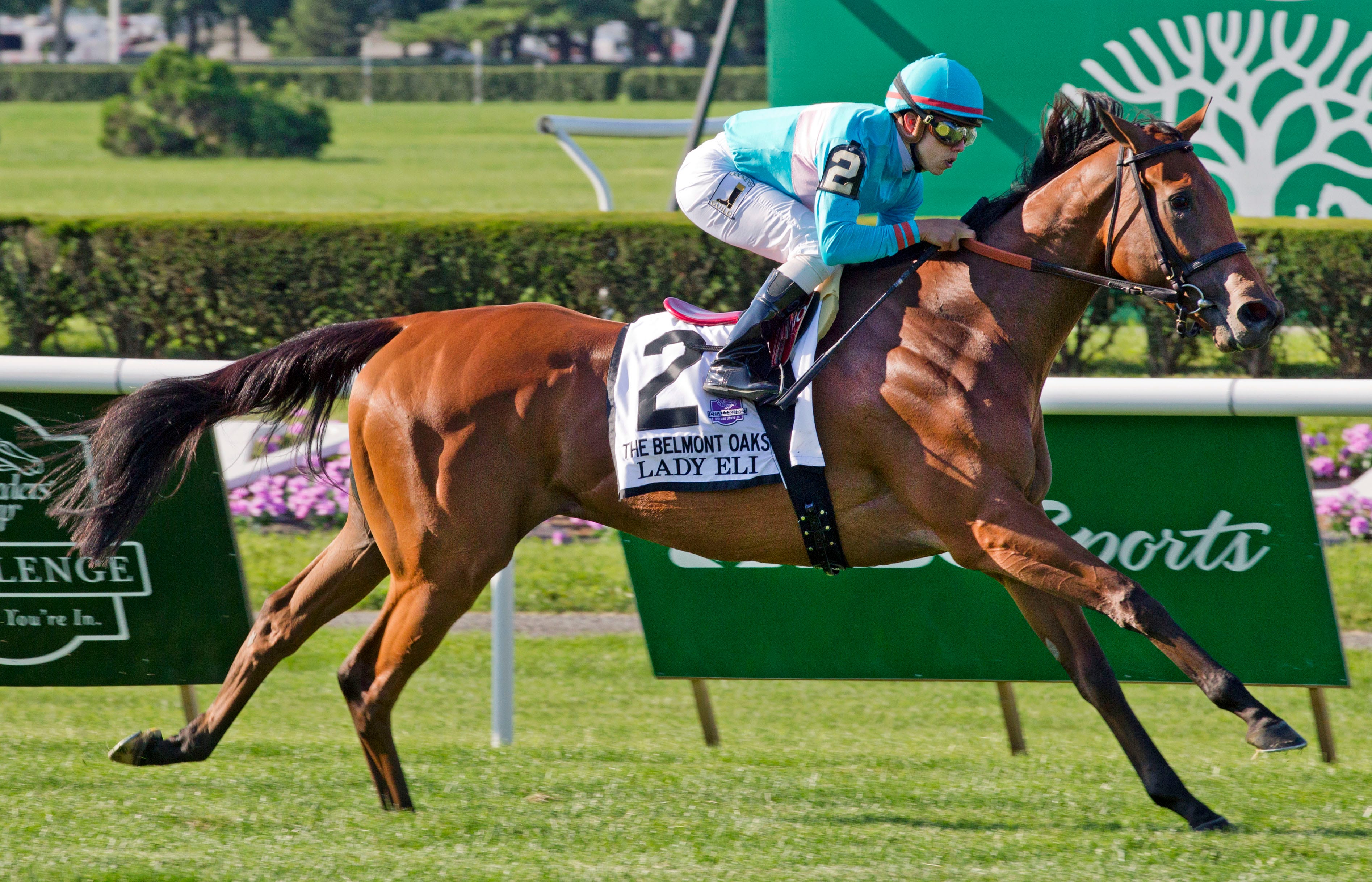 Sparkman Lady Eli displays class from an Aga Khan mare